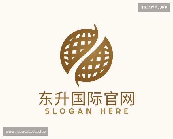 介绍东升国际官网